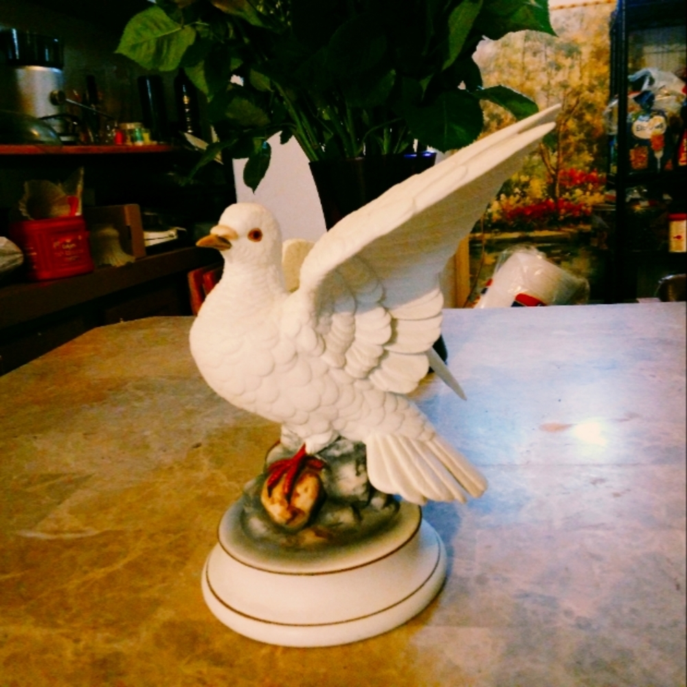 White Flying Dove